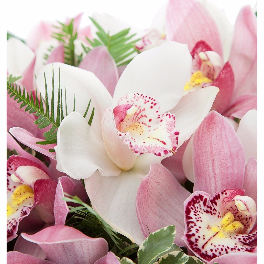 Букеты из орхидей фото с днем рождения